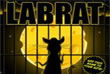 Lab-rat-med